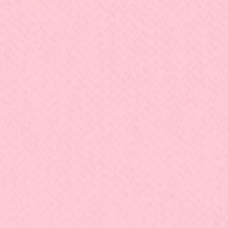 Rosa BB